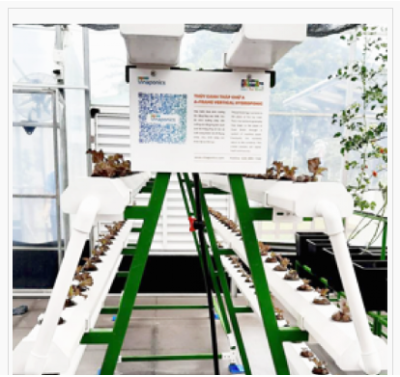 Bộ STEM lĩnh vực hóa, sinh, môi trường và nông nghiệp gồm hệ thống thủy canh NFT, tưới, đèn LED quang hợp, tablet, nguyên liệu sản xuất